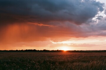 Obraz premium The Sunset Over The Farmland With Golden Clouds And Calm Horizon