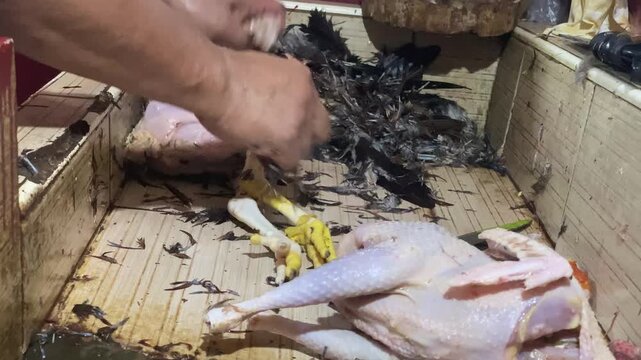 Dressed chicken feathers are being removed and cleaned in a chaotic and disorganized Asian wet market.