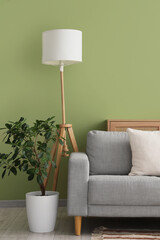 Fototapeta premium Stylish grey sofa with houseplant near green wall in room