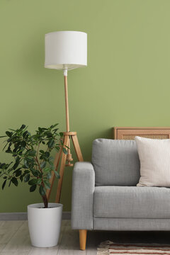 Stylish grey sofa with houseplant near green wall in room