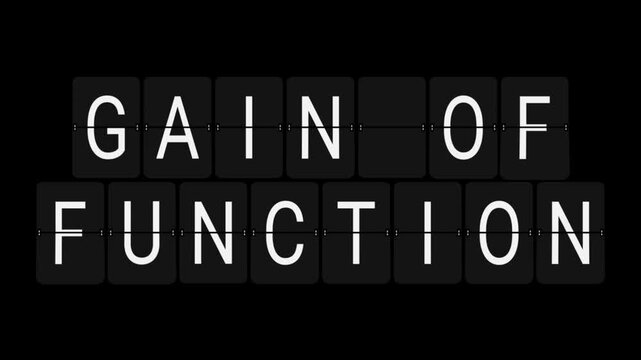 Split-Flap Blank to GAIN OF FUNCTION Scientific Display Animation on Black Background