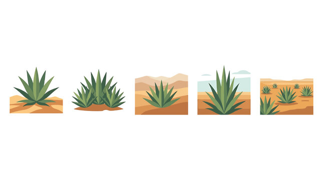 Agave plant vector set, desert succulent icons in flat style, 5 green agave illustrations for tequila and mezcal branding