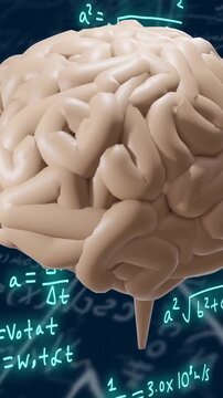 Brain animation over mathematical equations and formulas