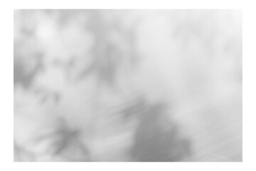Fototapeta premium Frame with tree and leaf shadows, featuring grain and noise texture on a transparent background for your mockup