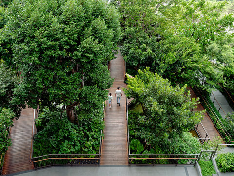 Aerial view People walking along wooden walkway through Green urban park Garden landscape Ecology Well-being concept  