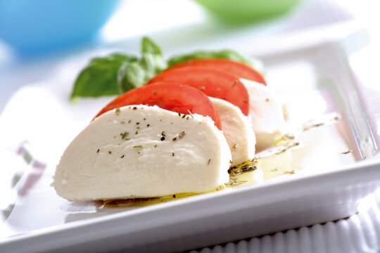 Mozzarella cheese with tomatoes and basil