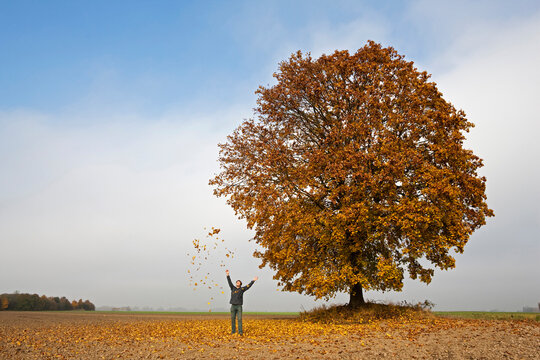 Germany, Bavaria, Man throwing leaves into air