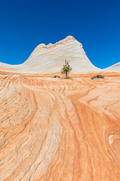 USA, Utah, Canaan Mountain, Hildale, hiking trip towards White Domes and Water Canyon, colored sandstone rocks