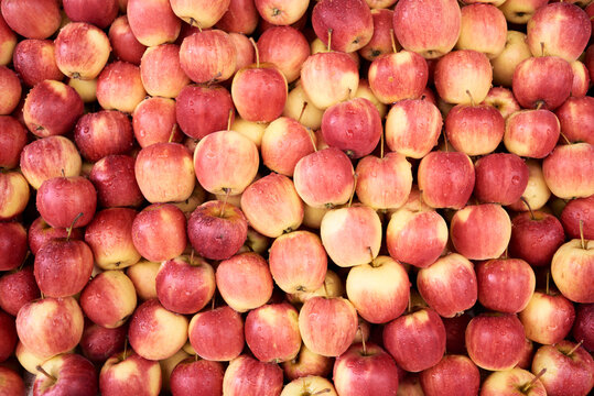 Fresh apples