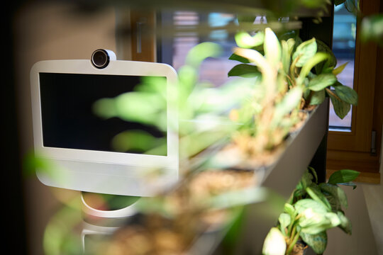 A modern telepresence robot stands behind plants in a green office