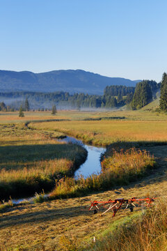 Germany, Bavaria, Upper Bavaria, Pfaffenwinkel, Wildsteig, river Illach, marshy landscape