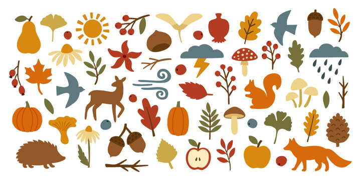 Cute autumn hand drawn set. Forest animals, fall leaves, mushrooms, fruits, weather and botanical icons. Floral silhouette stickers
