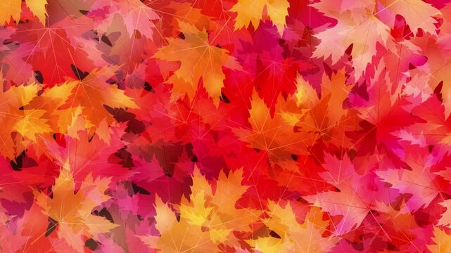 Vibrant Autumn Maple Leaves Pattern 4K