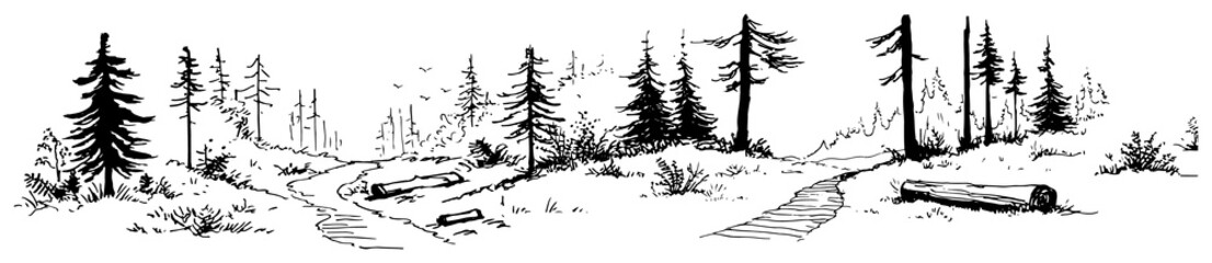 Pine forest landscape with winding path and river stream ink sketch style © Celestynka