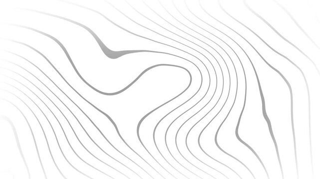 Topographic contour lines morph and flow around a shifting central shape in a seamless monochrome abstract loop animation