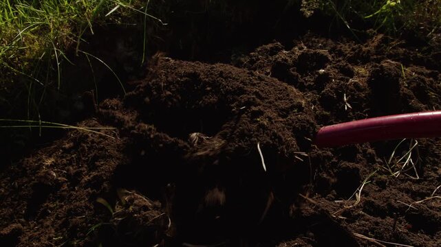 Metal pitchfork turns a heap of loose earth beside bright grass in strong sunlight.
