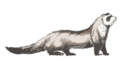 Fototapeta premium Png cute ferret animal illustration, transparent background