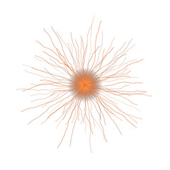 Fototapeta premium Abstract orange light explosion isolated on transparent background