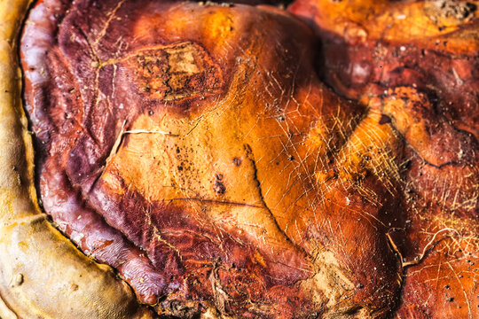 Macro Reishi Mushroom Surface Texture Featuring Vibrant Orange and Red Growth Patterns