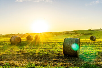 Fototapeta premium amazing hay stack summer field with golden hay grass on the ground and round stacks on foreground and amazing sunset green valley landscape on background