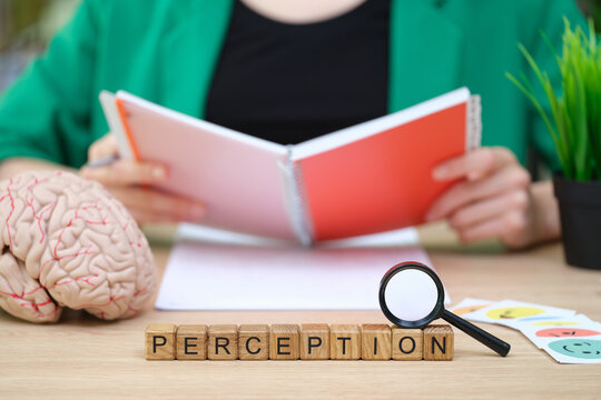 On a wooden table, a person studies a book on perception, surrounded by a brain model and playful illustrations. A magnifying glass adds curiosity to the scene.