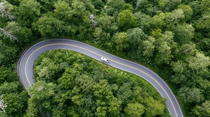 Obraz premium The winding forest road twisting through lush emerald trees with a lone car