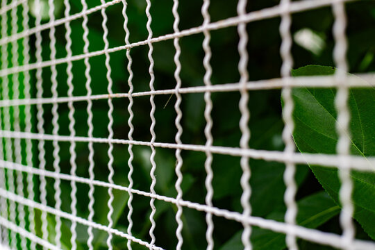 Close up of metal wire mesh fence with lush green foliage background