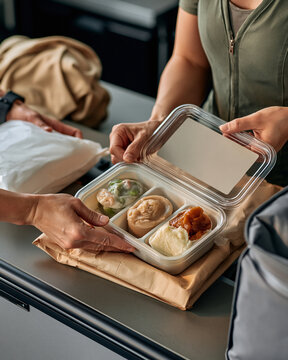 Chilled pureed meal prepared for home delivery