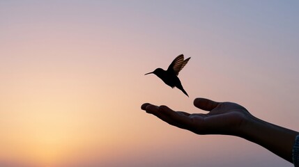 Naklejka premium The Hummingbird Hovering Above a Gentle Hand at Sunset Captured in Grace