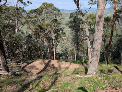 Mountain bike trail dirt berm and valley view Omeo Mountain Bike Park Australia