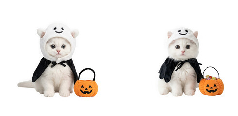 Fototapeta premium Two fluffy kittens dressed as ghosts with pumpkin buckets isolated on transparent background