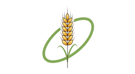 Fototapeta premium Green wheat stalk with ears in a loop