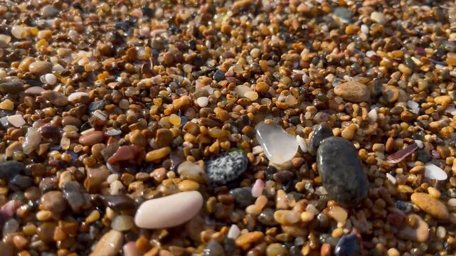 Enjoying shells and pebbles on the beach during a seaside vacation in the sun