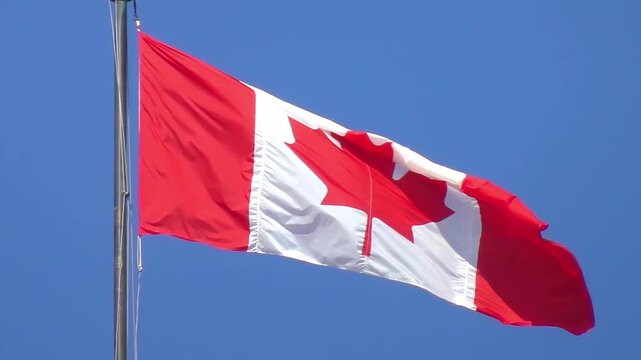 Low angle view of Canadian national flag waving on flagpole under clear blue sky on sunny day in Ottawa, Ontario, Canada.