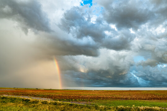 View of a vibrant rainbow arching over a vast agricultural field under a dramatic sky filled with dark, heavy storm clouds.