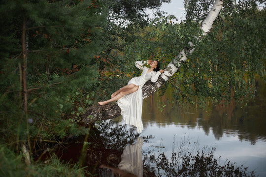 woman in a white dress lies on a tree branch over a calm lake. She enjoys the moment surrounded by green trees in a forest. sun is low in the sky creating soft light