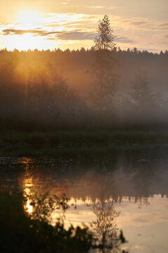 Sunlight rises over a lake surrounded by trees. Mist hangs above the water, creating a soft atmosphere as light reflects on the surface