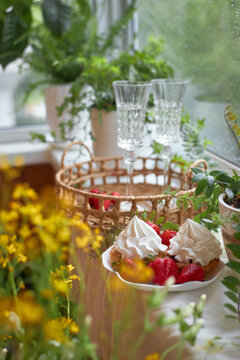 Two desserts with raspberries and cream sit on a plate. Two glasses are nearby. setting shows several plants and flowers while light rain falls outside a window