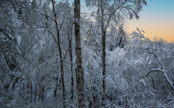 Amazing panoramic view of snow-capped peaks shining under the golden light of the sun