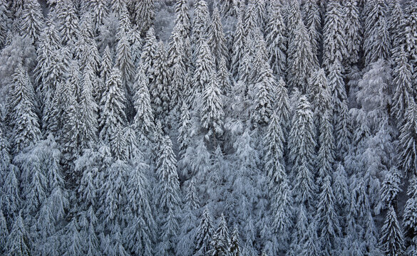 Last rays of sunlight kissing the white snow before the winter night