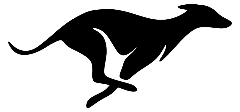 Minimalist black silhouette of sprinting greyhound dog in dynamic motion pose