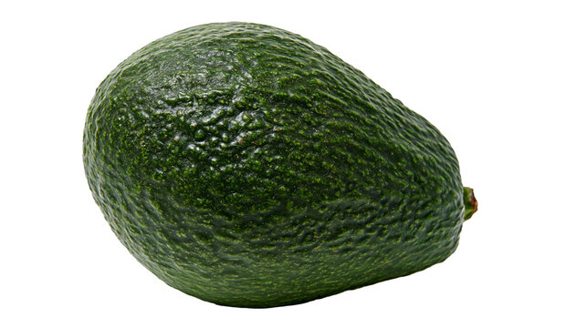 Whole green avocado with bumpy textured skin, isolated on transparent background