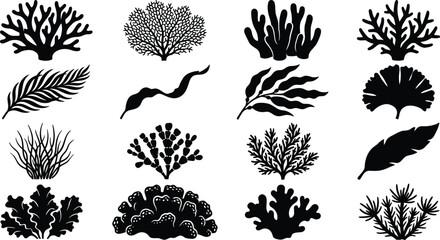 Set of black silhouettes of corals, seaweeds, and underwater marine plants. © MST