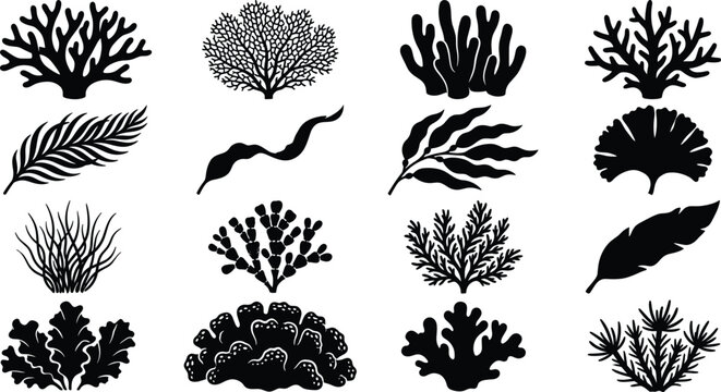 Set of black silhouettes of corals, seaweeds, and underwater marine plants.