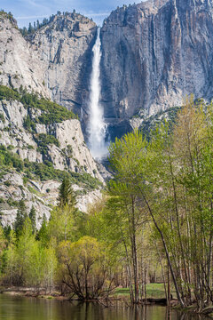 Vertical view of majestic Upper Yosemite Falls with river in spring