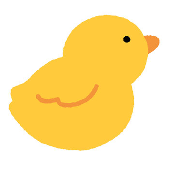 옆을 보는 오리