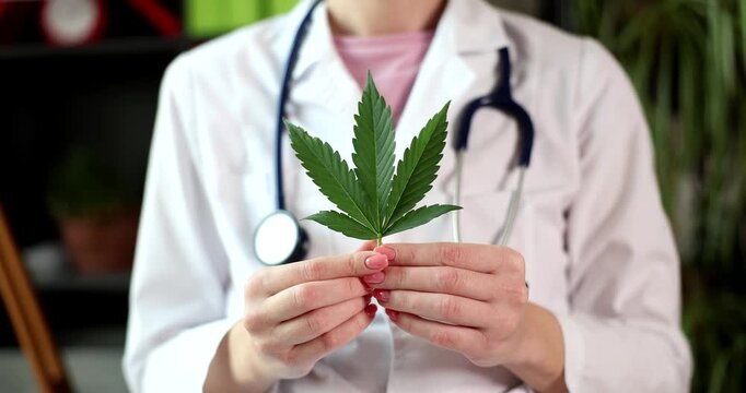 A medical professional holds a fresh cannabis leaf, sharing knowledge about its therapeutic benefits. The setting is a lively clinic filled with greenery, showcasing a holistic approach to health.
