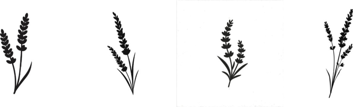 A premium black and white flat vector icon of a dried lavender sprig, solid black lines and fills, modern UI style, exclusive minimalist design, isolated on a pure white background