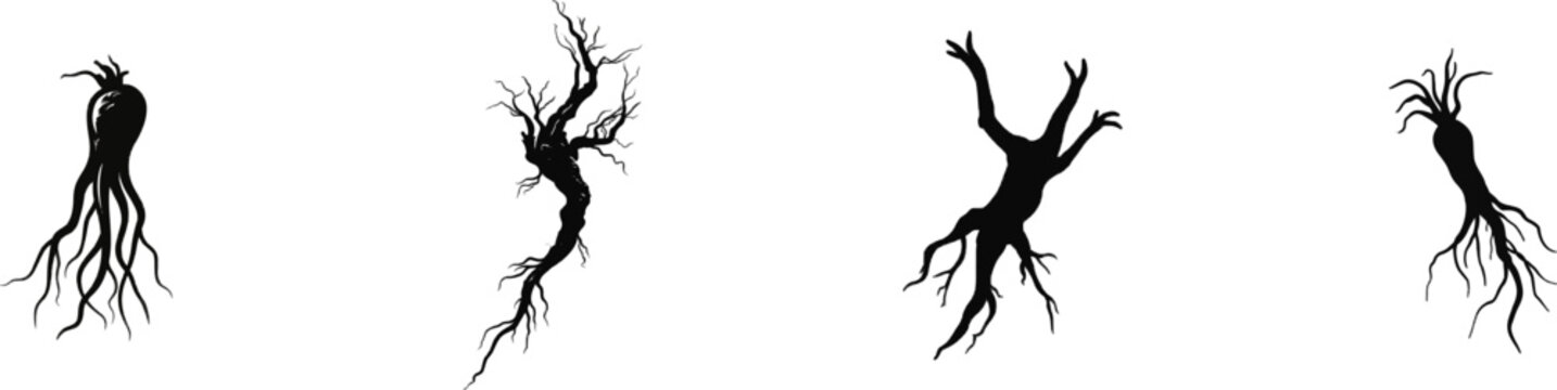 A premium black-and-white flat vector icon of a dried mandrake root silhouette features solid black lines and fills, exuding a modern UI style with an exclusive minimalist design, isolated on a pure