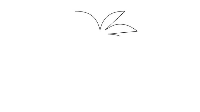 Simple palm tree icon draws itself in continuous line animation, isolated on white background, motion graphics element.